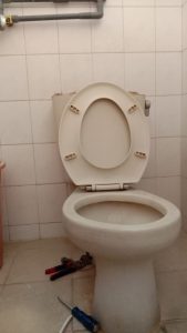 IMG-20241111-WA0022